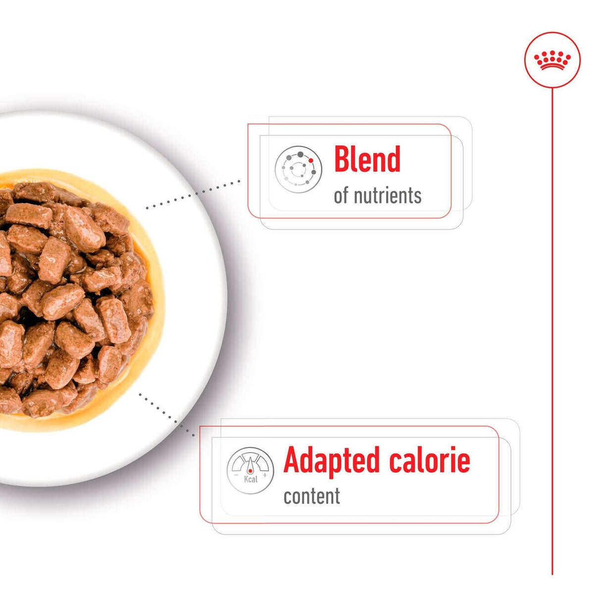 Royal Canin Mini Ageing 12+ Wet Dog Food In Gravy - 1