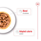 Royal Canin Mini Ageing 12+ Wet Dog Food In Gravy - 1