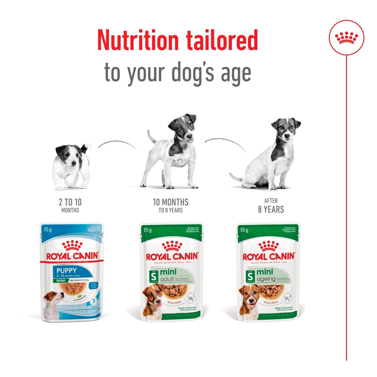 Royal Canin Mini Ageing 12+ Wet Dog Food In Gravy - 1
