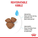 Royal Canin Mini Starter Mother & Baby Dog Food - 4kg
