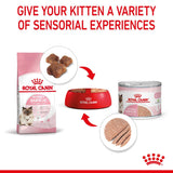 Royal Canin Feline Health Nutrition Mother & Babycat Adult and Kitten Wet Cat Food Ultra Soft Mousse - 12 x 195g