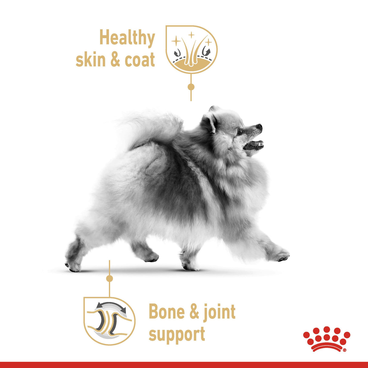 Royal Canin Pomeranian Adult Dry Dog Food - 3kg