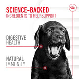 Royal Canin Puppy Supplement for Immunity & Digestion Soft Chews - 100g
