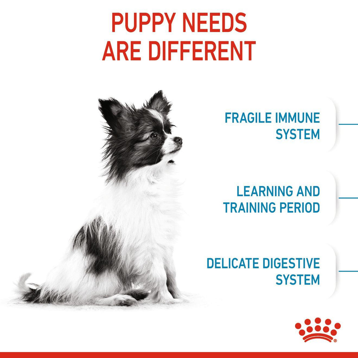 Royal Canin X-Small Dry Puppy Food - 1.5kg