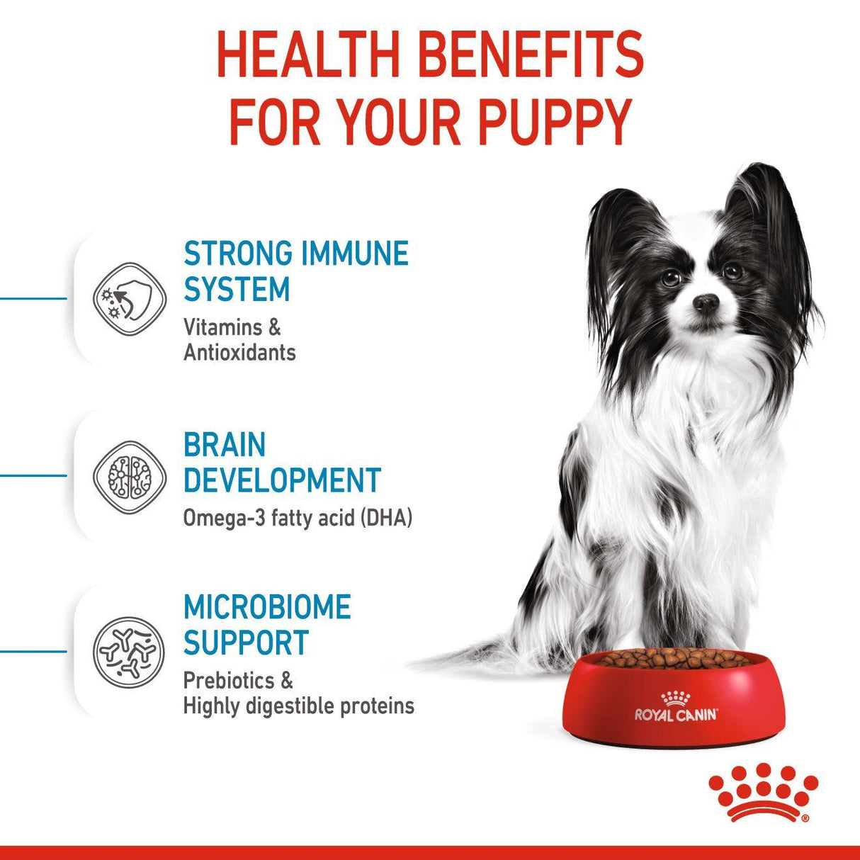 Royal Canin X-Small Dry Puppy Food - 1.5kg