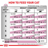 Royal Canin Renal With Chicken Adult Wet Cat Food Thin Slices In Gravy - 12 x 85g