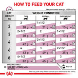 Royal Canin Renal With Fish Adult Wet Cat Food Thin Slices In Gravy - 12 x 85G