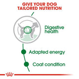 Royal Canin Mini Adult Wet Dog Food Pouches - 48 x 85g