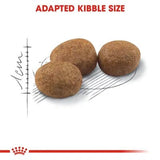 Royal Canin Sterilised 37 Adult Dry Cat Food 10kg