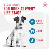 Royal Canin Training Treats - 110g