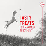 Royal Canin Training Treats - 110g