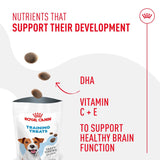 Royal Canin Training Treats - 110g