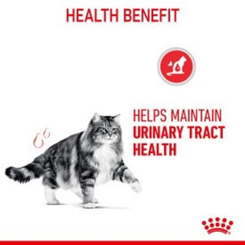 Royal Canin Urinary Care Dry Cat Food - 10kg