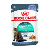 Royal Canin Care Wet Cat Food Pouches