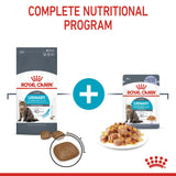 Royal Canin Urinary Care Wet Cat Food In Jelly - 12x85g