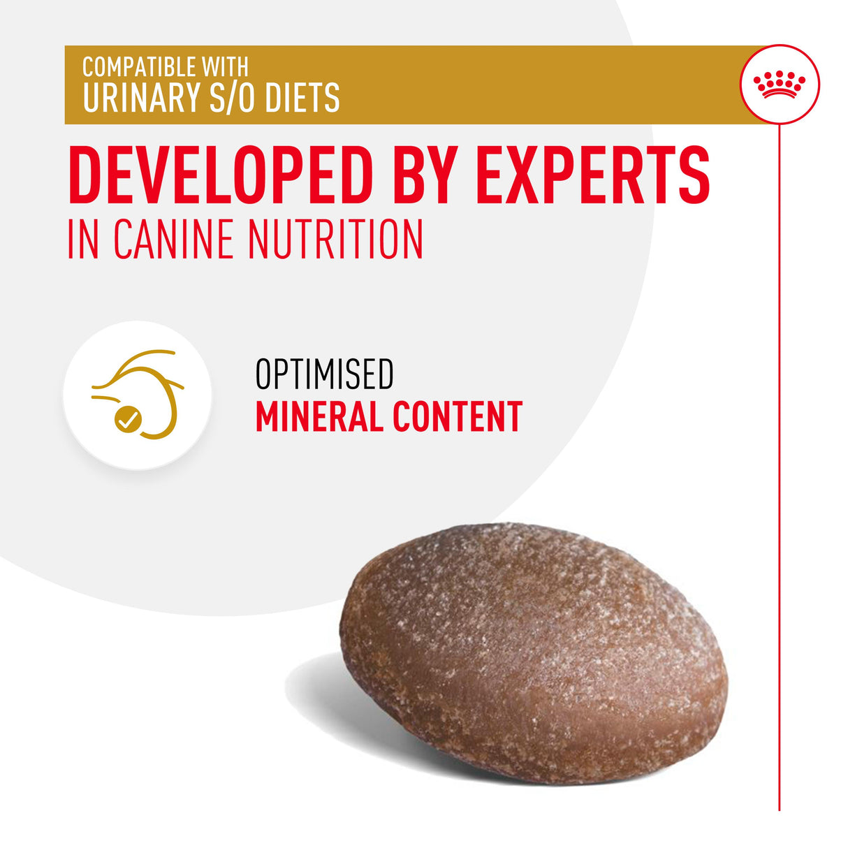 Royal Canin Urinary S/O Dog Treats - 230g