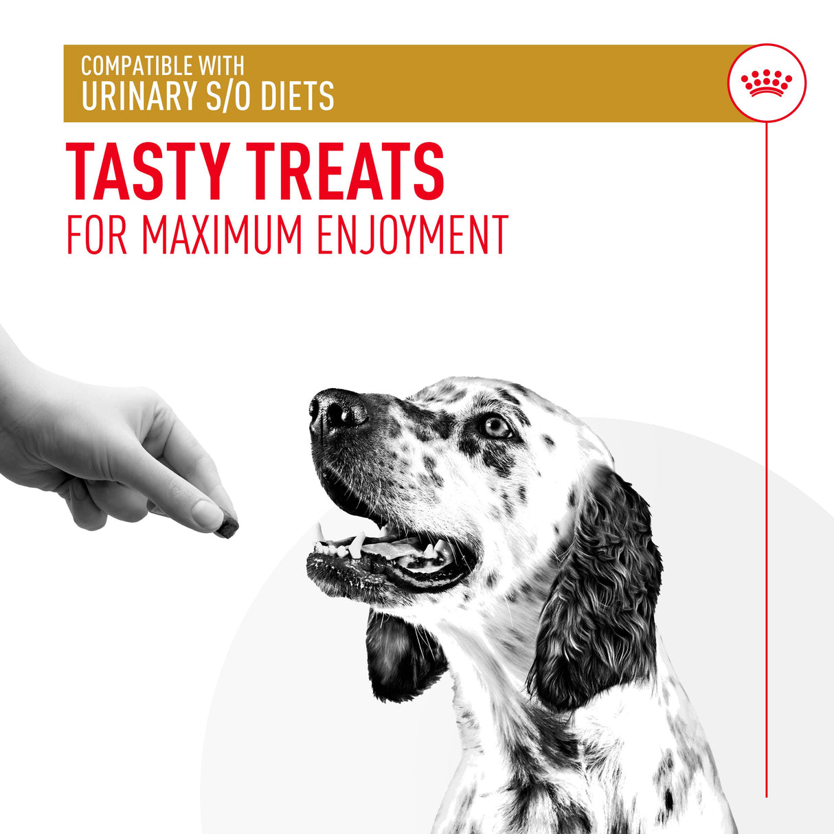 Royal Canin Urinary S/O Dog Treats - 230g