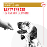 Royal Canin Urinary S/O Dog Treats - 230g