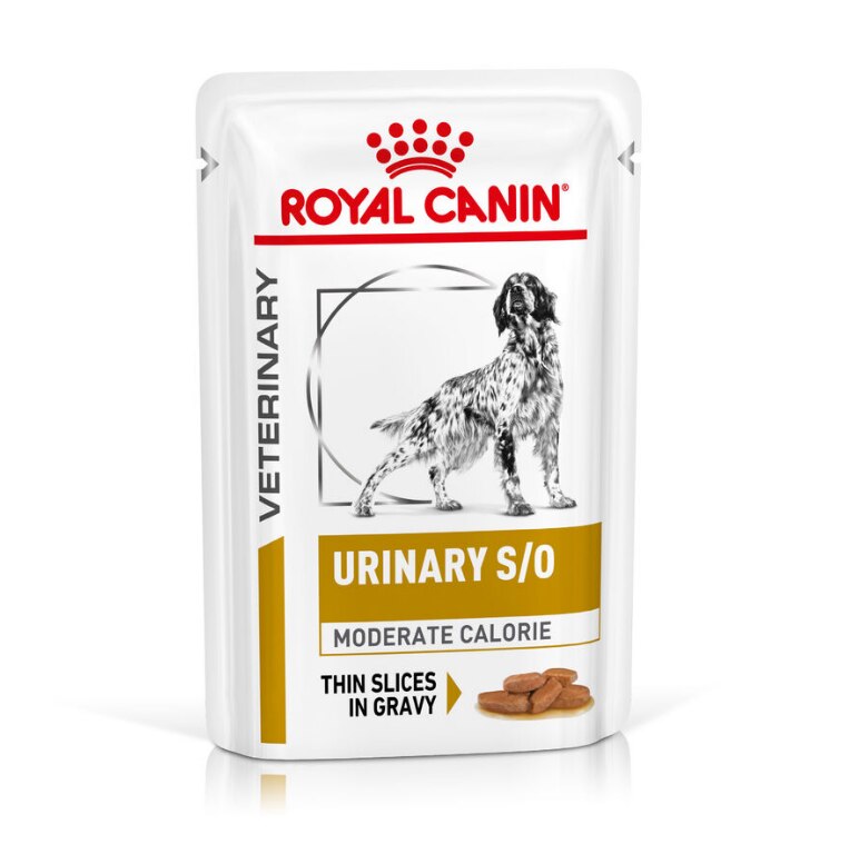 Royal Canin Urinary S/O Moderate Calorie Thin Slices in Gravy Adult Wet Dog Food - 48 x 100g