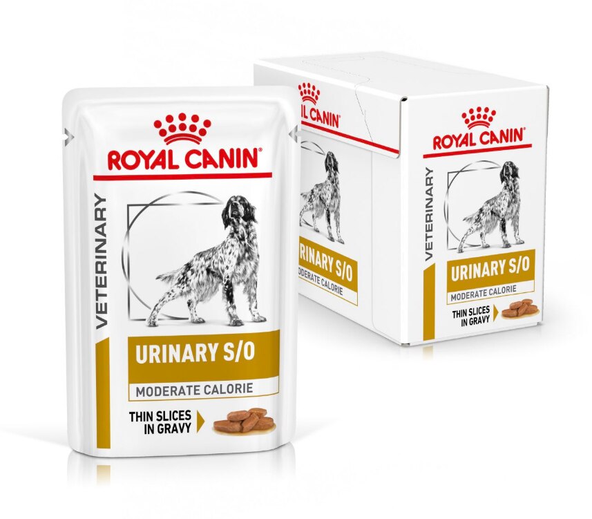 Royal Canin Urinary S/O Moderate Calorie Thin Slices in Gravy Adult Wet Dog Food - 48 x 100g
