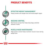 Royal Canin Satiety Weight Management Loaf Adult Wet Dog Food - 12 x 410g