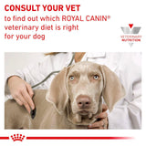 Royal Canin Urinary S/O Ageing 7+ Adult Dry Dog Food - 8kg