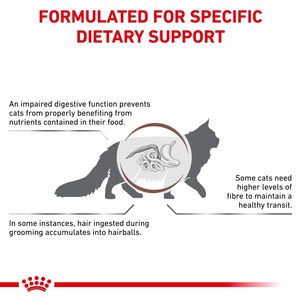 Royal Canin Gastrointestinal Hairball Adult Dry Cat Food - 4kg