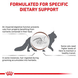 Royal Canin Gastrointestinal Hairball Adult Dry Cat Food - 4kg