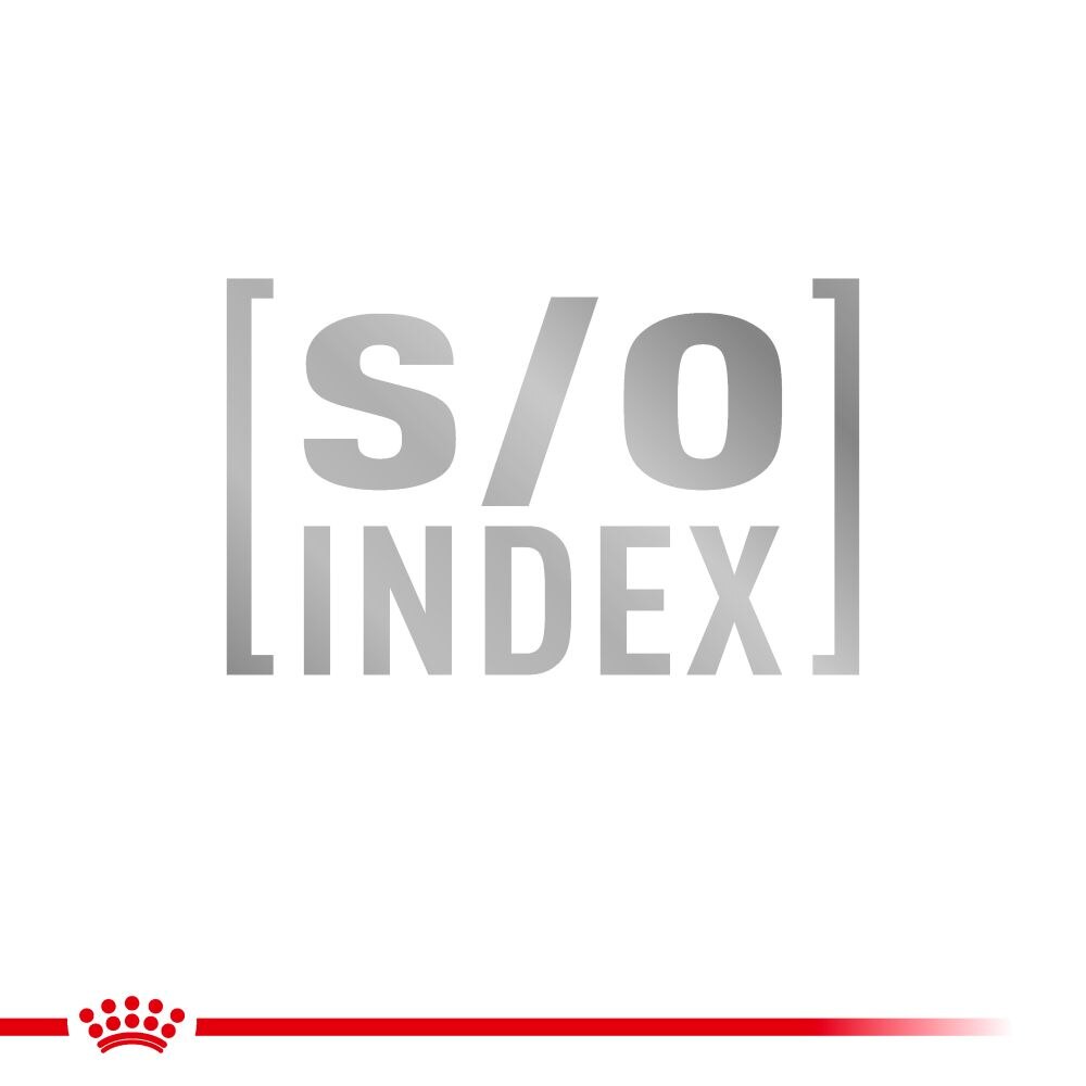 Royal Canin Gastrointestinal Hairball Adult Dry Cat Food - 4kg