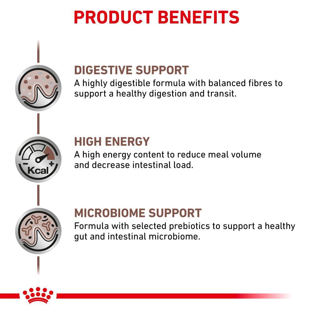 Royal Canin Gastrointestinal Thin Slices in Gravy Adult Wet Cat Food Pouches - 12 x 85g