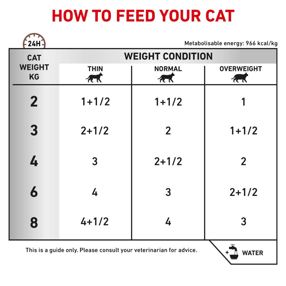 Royal Canin Gastrointestinal Thin Slices in Gravy Adult Wet Cat Food Pouches - 12 x 85g