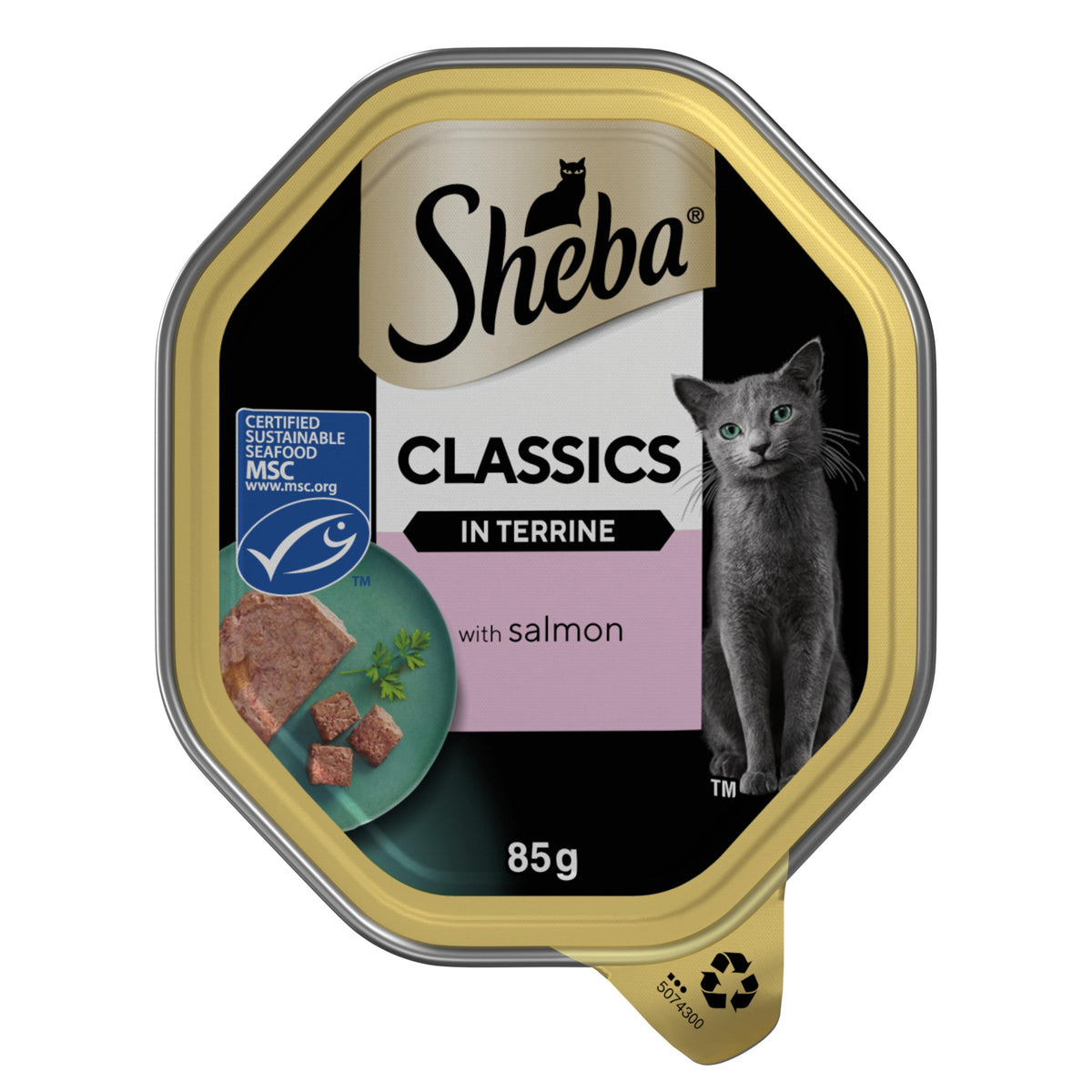 SHEBA Classics Cat Tray with Salmon in Terrine - 22 x 85g