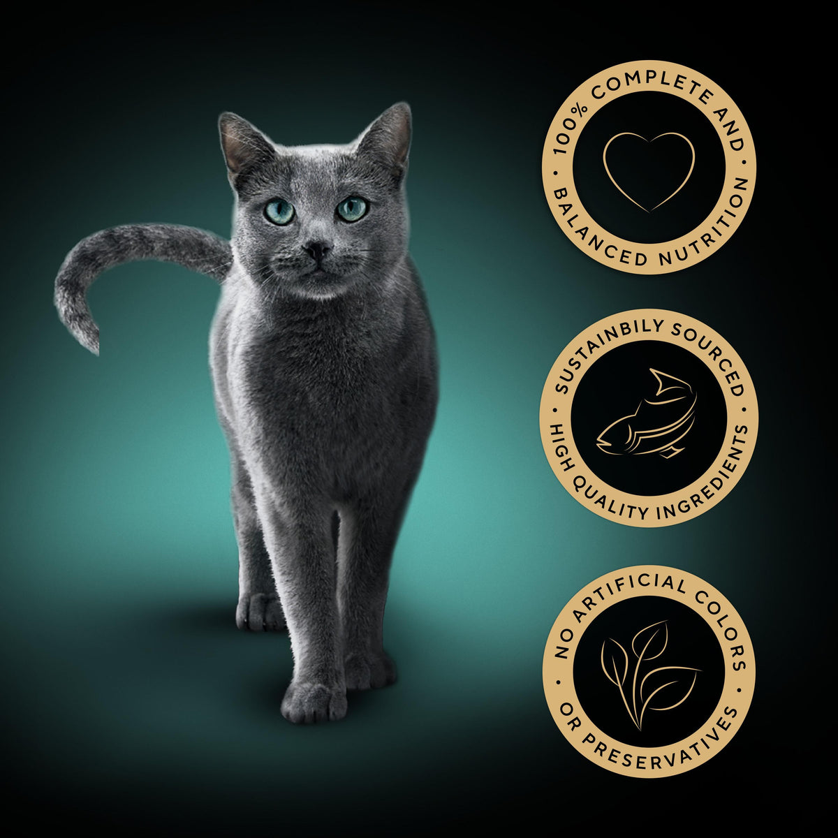 SHEBA Classics Cat Tray with Salmon in Terrine - 22 x 85g