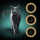 SHEBA Classics Cat Tray with Salmon in Terrine - 22 x 85g