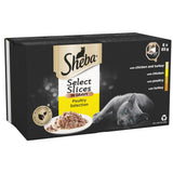 Sheba Select Slices Wet Cat Food Tray Mixed Poultry Collection in Gravy - 8 x 85g