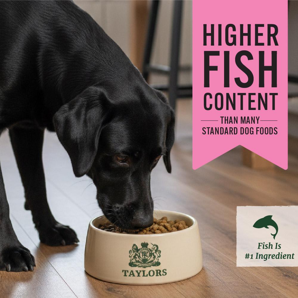 Taylors Salmon And Brown Rice Adult & Senior Dry Dog Food - 12kg
