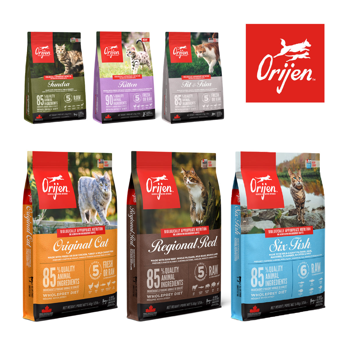 Orijen Cat Food – Original, Kitten & More