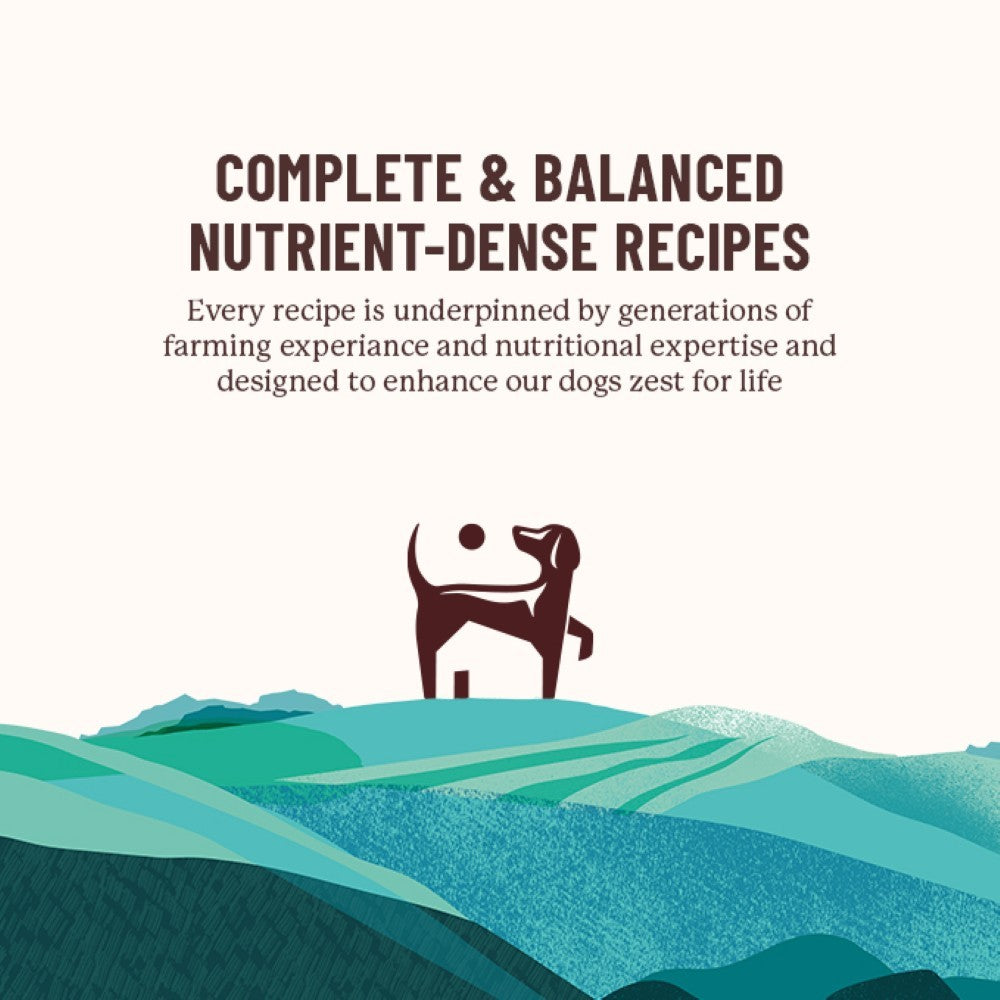Vitalin Pork with Apple Adult Dry Dog Food - 2kg