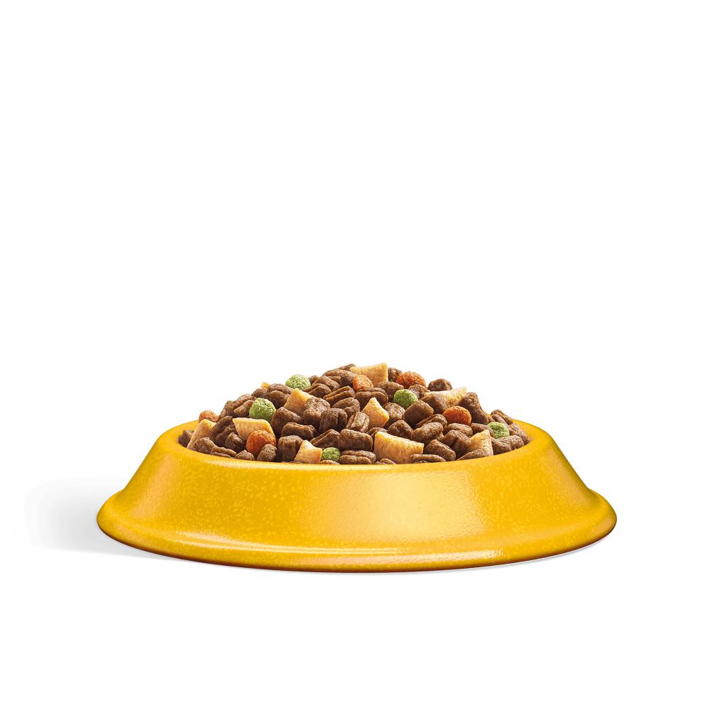WHISKAS 1+ Adult Cat Dry Food with Chicken - 800g