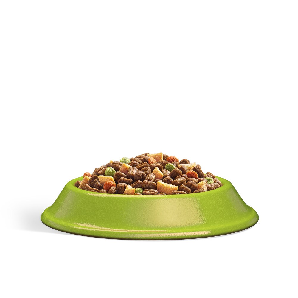 WHISKAS 1+ Adult Cat Dry Food with Lamb - 800g
