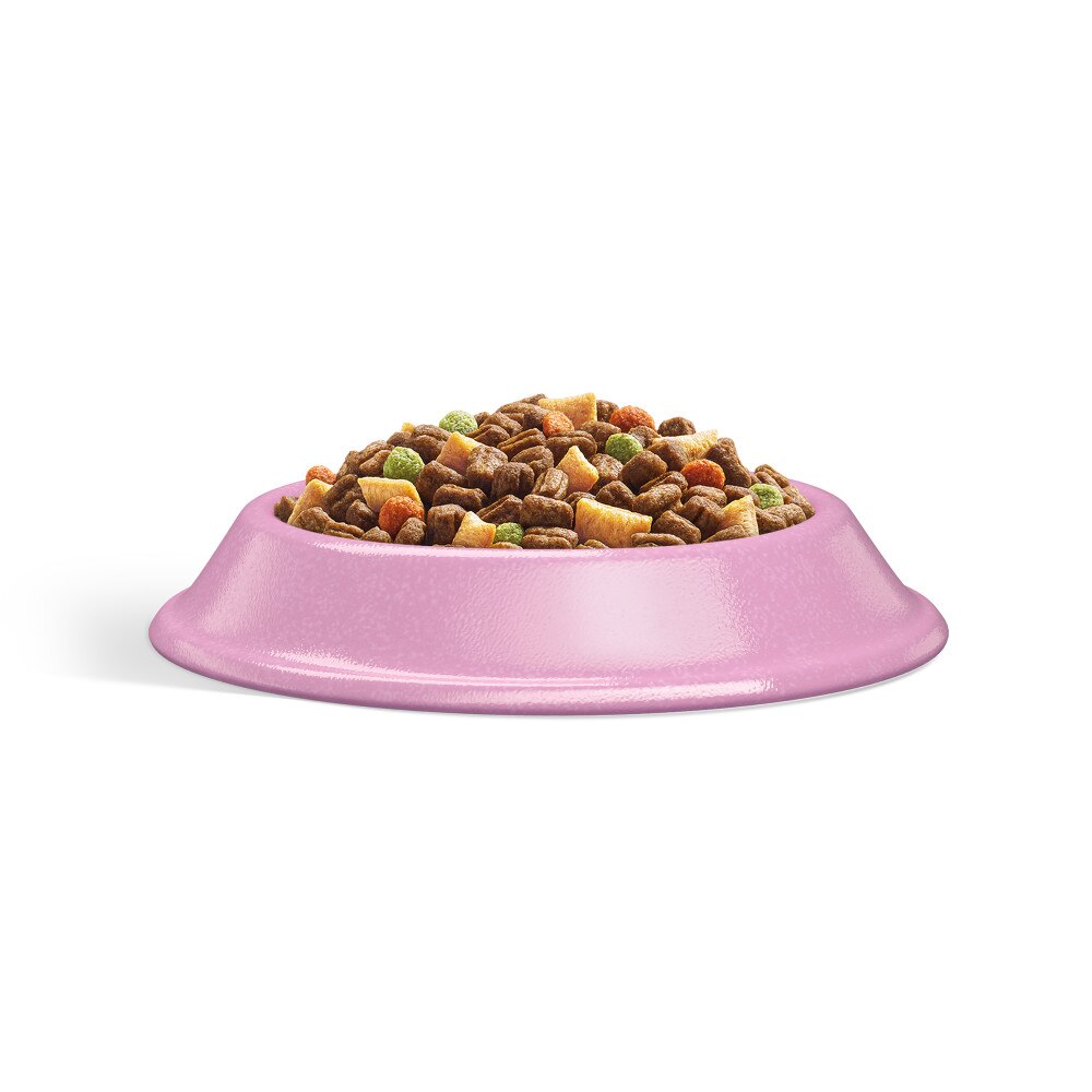 WHISKAS 1+ Adult Cat Dry Food with Salmon - 800g