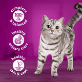WHISKAS 1+ Cat Tin with Salmon in Jelly - 12x400g