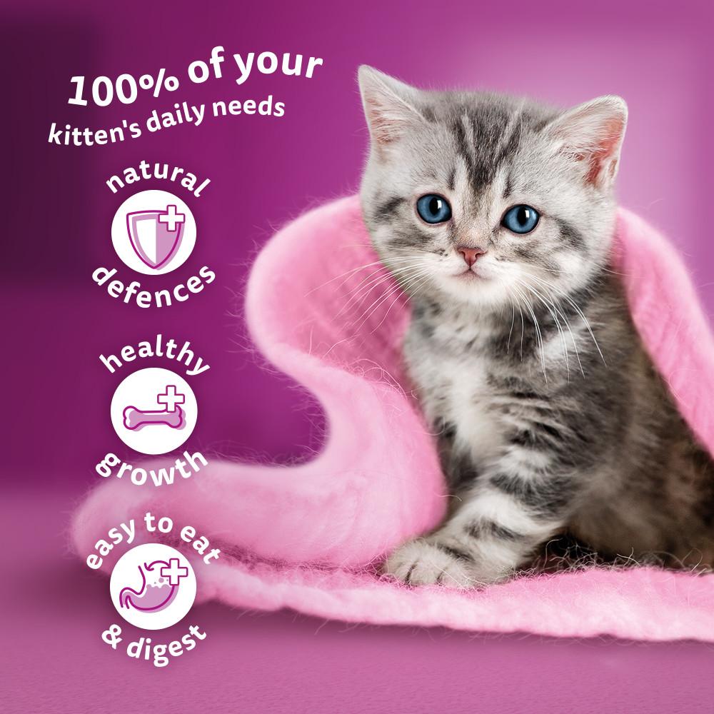 WHISKAS Kitten Fish Favourites Wet Cat Food in Jelly Pouches - 12 x 85g(