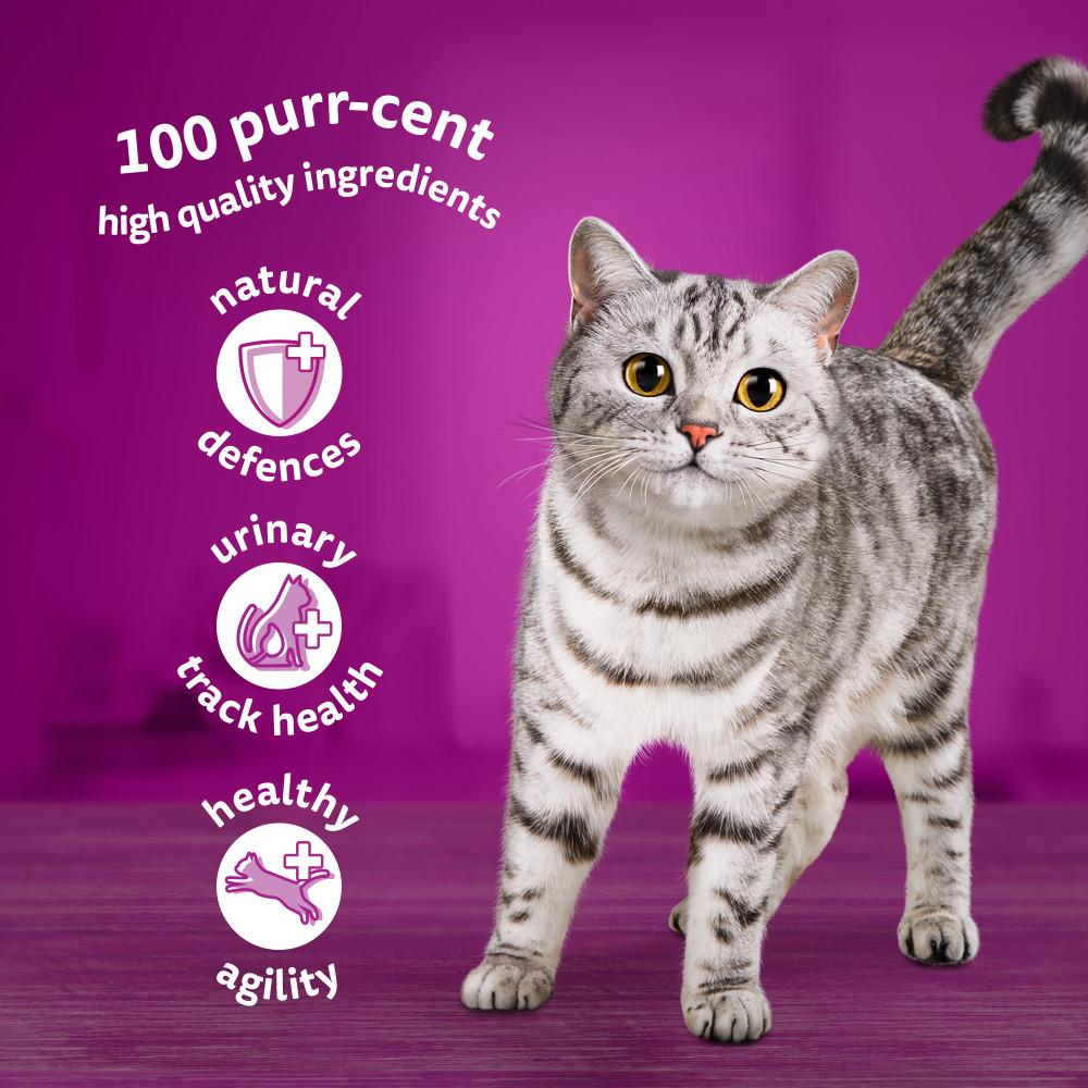 WHISKAS 7+ Poultry Feasts Senior Wet Cat Food Pouches in Jelly - 40 x 85g