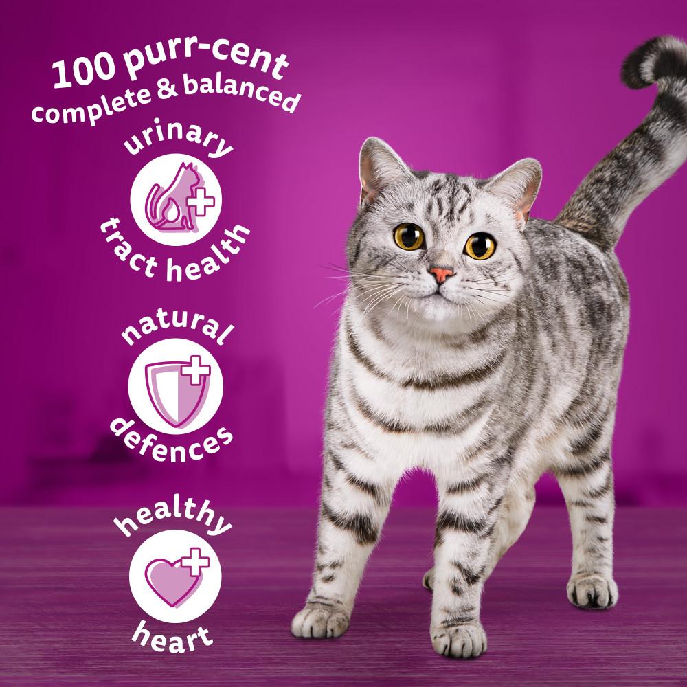 Whiskas 7+ Complete Chicken Dry Cat Food - 1.9kg