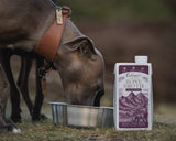 Eden Wild Venison Bone Broth - 500ml