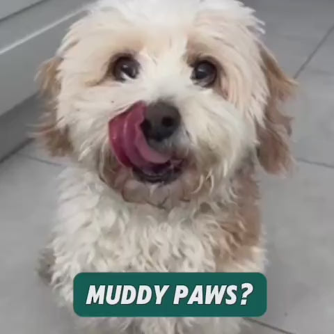 MuckyPup Cup