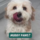 MuckyPup Cup